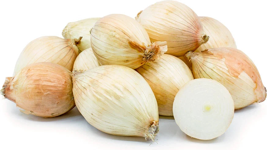 Maui Onion Seeds - 500+ Count - Heirloom Variety - Allium macrostemon - USA Grown, Free Shipping