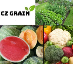 Vegetable Garden Seed Kit - Assorted Seeds: Tomato, Carrot, Lettuce, Bean, Cucumber, Onion - Non-GMO Heirloom Varieties
