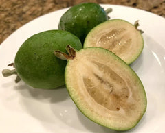 Feijoa Seeds - 40 Pineapple Guava Seeds - Feijoa Sellowiana - 2024 Harvest - USA Grown
