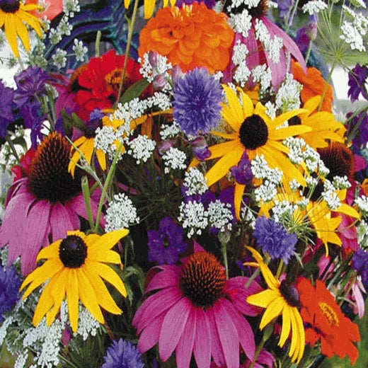 Wildflower Seed Mix - Annual Cutflower Variety - Fresh Seeds for Garden Planting - Colorful Blossoms