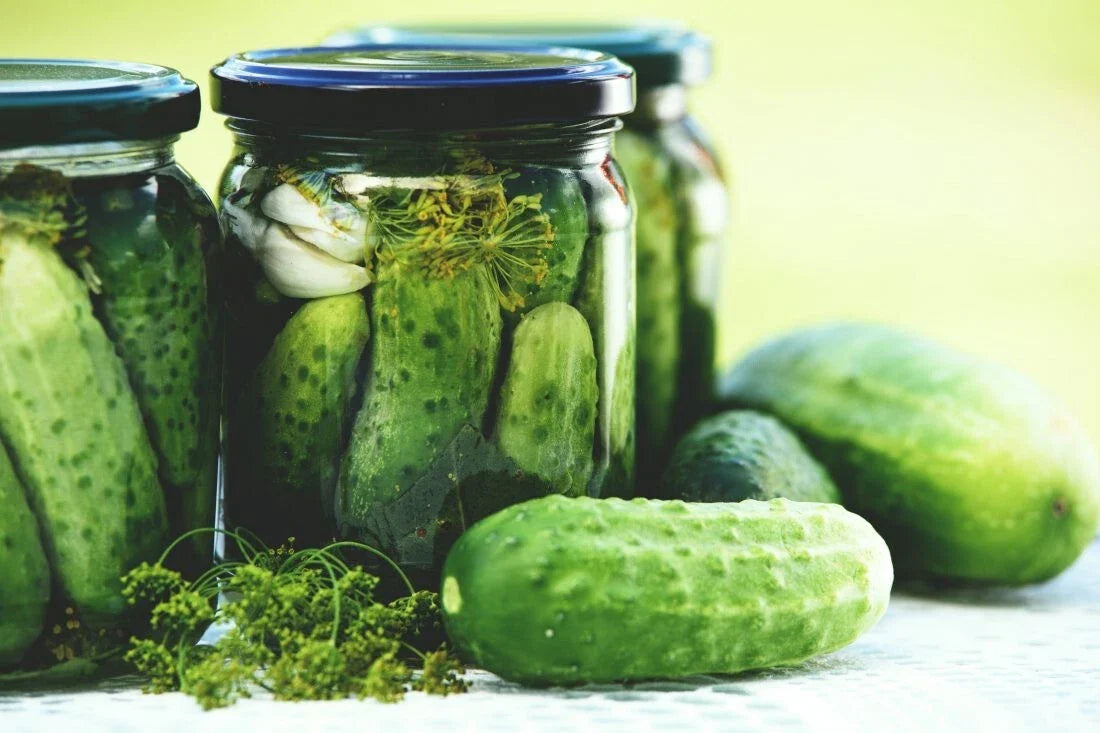Boston Pickling Cucumber Seeds - 50+ Non-GMO Heirloom Seeds - Fresh Cucumis sativus
