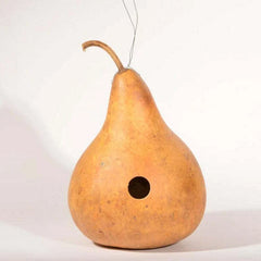 Gourd Seeds - Martinhouse Variety - Fresh Seed for Planting - Cucurbita pepo
