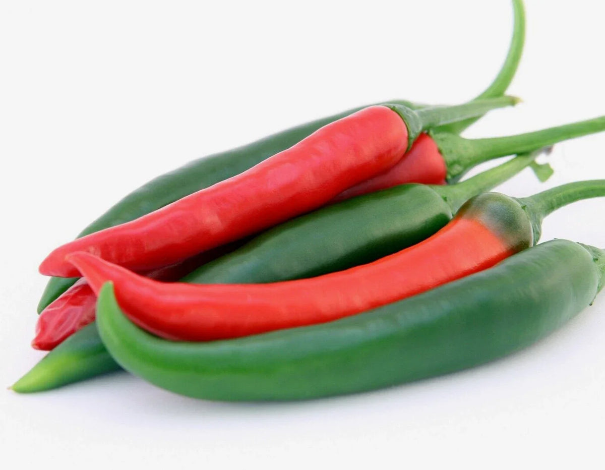 Jalapeno Pepper Seeds - 300 Heirloom Non-GMO Summer Vegetable Seeds - Capsicum annuum