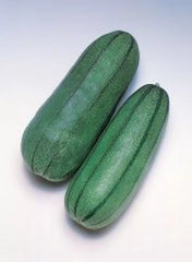 Pickling Melon Seeds - 20 Pack Green Striped Cucumis melo var conomon - Free Shipping USA
