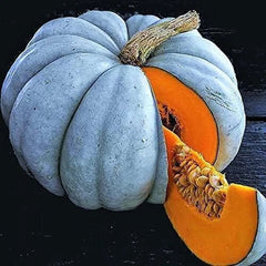 Exotic Blue Pumpkin Seeds Packet | 10 Seeds | Blue Jarrahdale Variety | Cucurbita maxima