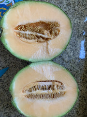 Cantaloupe Melon Seeds - 25 Pack, Sweet Delicious Variety, Homegrown USA, Easy to Grow