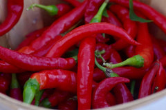 30+ Seeds Red Thin Hot Pepper Chili Erjintiao - Chinese Hot Pepper Seeds for Planting (Capsicum annuum)
