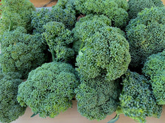 Calabrese Broccoli Seeds, 250+ Heirloom Non-GMO Organic, Brassica oleracea, Green Sprouting Variety, USA Grown