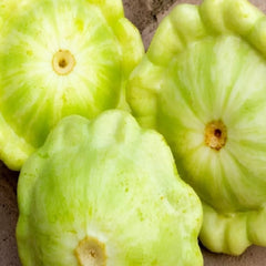 Bennings Green Tint Summer Squash Seeds | NON-GMO Heirloom | Vegetable Seeds | Cucurbita pepo