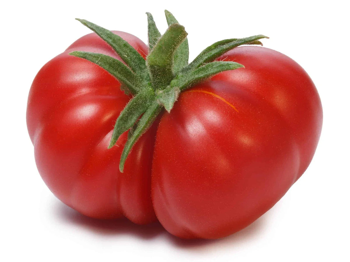 Beefsteak Tomato Seeds - 120+ Pack - Heirloom, Non-GMO, Organic - Solanum lycopersicum