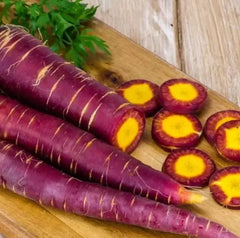 Cosmic Purple Carrot Seeds - 200+ Heirloom Organic Non-GMO - Rare Variety for Home Gardening - Daucus carota