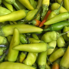 Pepperoncini Pepper Seeds 25+ MILD Non-GMO Heirloom Italian Vegetable Seeds Capsicum annuum