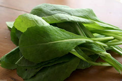 Komatsuna Mustard Seed 100+ Seeds Brassica rapa var. perviridis Non-GMO Vegetable Garden Seeds for Planting