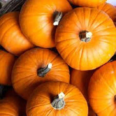 Small Sugar Pumpkin Seeds - Fresh Heirloom Variety - Ideal for Pies - Cucurbita pepo