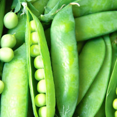 Lincoln Pea Seeds | NON-GMO Heirloom Garden Seeds | Fresh | Pisum sativum