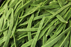 Romano Pole Bean Seeds - 20 Seeds - Qing Bian Variety - Phaseolus vulgaris