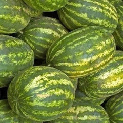 Watermelon Seeds 20+ Striped Klondike Picnic Melons Citrullus lanatus, Garden Seeds, Heirloom Variety, Free Shipping