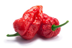Ghost Pepper Seeds - 20+ Seeds - Bhut Jolokia - Hottest Peppers for Planting, Unique Flavor, Organic Gardening Supplies