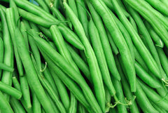 String Bean Seeds | 50+ Non-GMO Blue Lake Heirloom | Bush Variety for Home Gardening | Phaseolus vulgaris