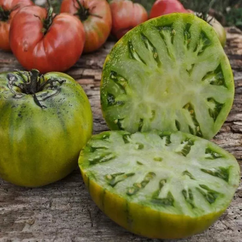Cherokee Green Tomato Seeds - 120+ Heirloom Organic Non-GMO - Rare Variety - Perfect for Home Gardening