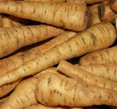 PARSNIP SEEDS 200+ Harris Early Model Vegetable Garden Culinary Seeds