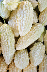 Exotic Bitter Gourd Seeds - 10 Pack - White Variety - Momordica charantia for Planting Bitter Melon