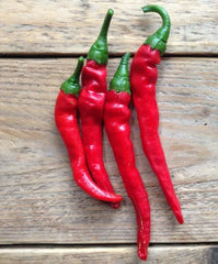 Hot Cayenne Long Slim Pepper Seeds - 20 Fresh Premium Seeds for Gardening - Capsicum annuum