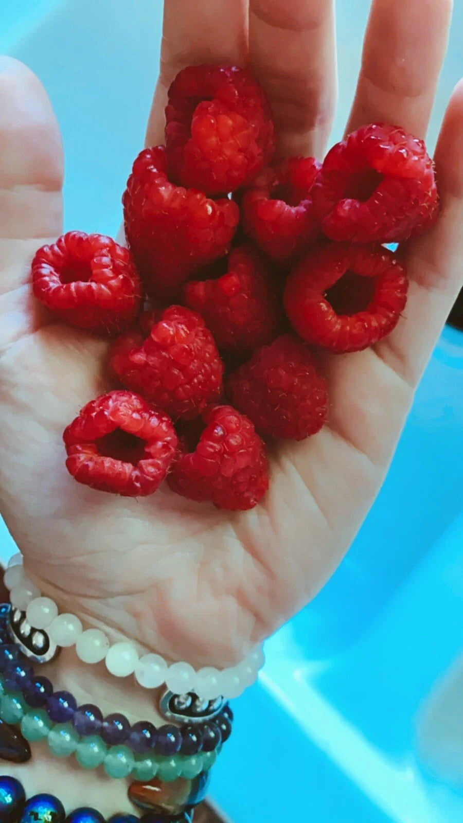 Red Raspberry Seeds - 25 Count Edible Berry Garden Vine - Rubus idaeus - USA Homegrown Medicinal Plant