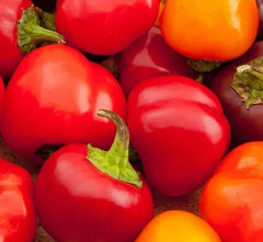 Organic Cherry Sweet Pepper Seeds - 50 Count - Capsicum annuum - USA Grown, Non-GMO, Free Shipping