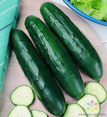 Fanfare Cucumber Seeds - 25+ Pack for Garden Planting - Cucumis sativus - USA Grown, Free Shipping