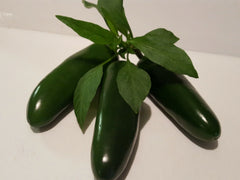 Jalapeno Pepper Seeds - 40 Pack - Spicy Variety - Capsicum annuum
