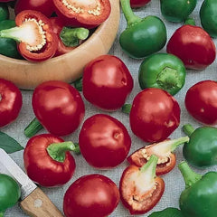 Red Cherry Hot Pepper Seeds - 30+ Count - Heirloom, Organic, NON-GMO - Pimenta Capsicum Annuum