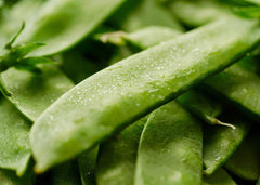 Mammoth Melting Sugar Snow Pea Seeds - Heirloom, NON-GMO, Garden Seeds