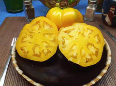 Golden Jubilee Tomato Seeds - 30+ Heirloom Organic Non-GMO - Fresh Seed Pack (Lycopersicon esculentum)