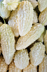 Exotic Bitter Gourd Seeds - 10 Pack, White Variety, Bitter Melon (Momordica charantia) for Planting