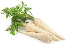 All American Parsnip Seeds - 250+ Seeds - Rare Garden Vegetable - Pastinaca sativa