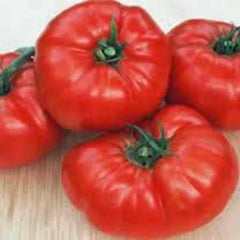 Beefsteak Tomato Seeds - Heirloom Non-GMO Variety - Organic Gardening Seeds - Solanum lycopersicum