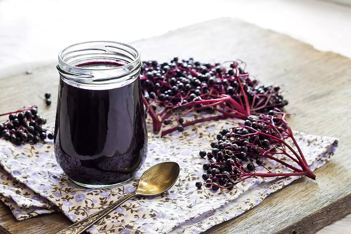 Fresh Elderberry Cuttings - 5 Cuttings - Black Berries - Sambucus nigra for Home Gardening
