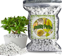Organic Chunky Perlite for Plants, 1qt, 0.4"-0.8" Diameter, Natural Growing Medium, Soil Aeration, Hydroponics