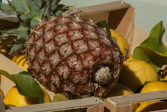 James Queen Pineapple Seeds - 15+ Pack for Garden Planting - Ananas comosus - USA - Free Shipping