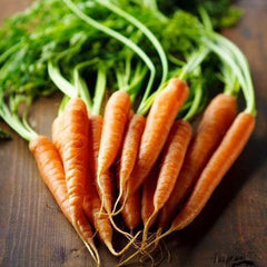 Imperator 58 Carrot Seeds - Heirloom Non-GMO Variety for Home Gardening - Daucus carota