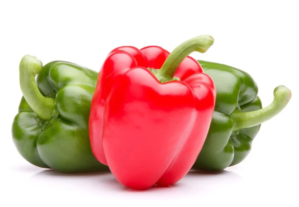 Giant Sweet Pepper Seeds - 30 Seeds - Ozark Variety - Capsicum annuum - Grow Delicious Bell Peppers at Home
