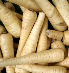 All American Parsnip Seeds - Non-GMO Sweet Tender Root Vegetable - 100 Seeds - Pastinaca sativa