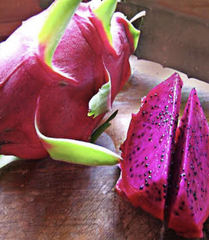 American Beauty Dragon Fruit Cuttings Large Size, Self Pollinating Pitaya Plant Cuttings for Growing Set of 4