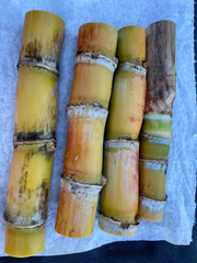 Heirloom Sugarcane Cuttings – Fresh Cane Sections with 4+ Buds for Planting