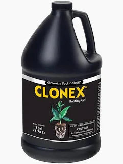 Clone X clone solution (AUN)