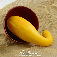 Crookneck Summer Squash – 25 Seeds