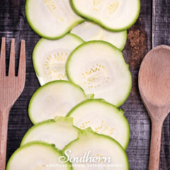 Zucchini Round Summer Squash – 25 Seeds