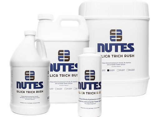 NUTES SILICA TRICH RUSH (AUN)