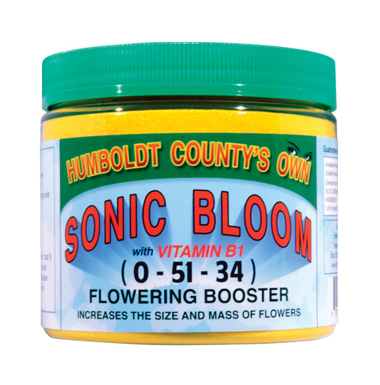 Humboldt County's Own Sonic Bloom